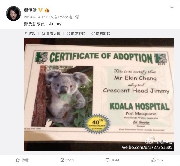 鄭伊健早早於 2013 年已經開始透過樹熊醫院 Port Macquarie Koala Hospital 領養小樹熊