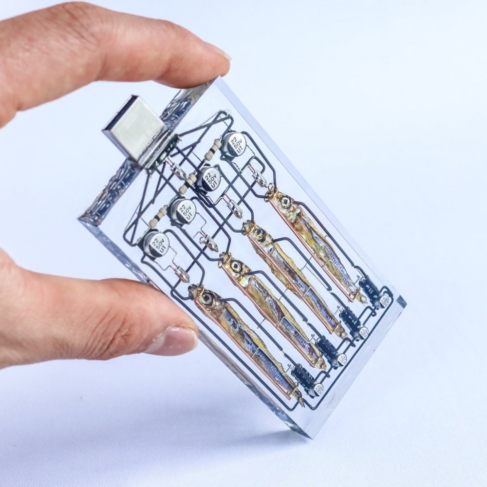 小魚乾USB Twitter@ni28_xp