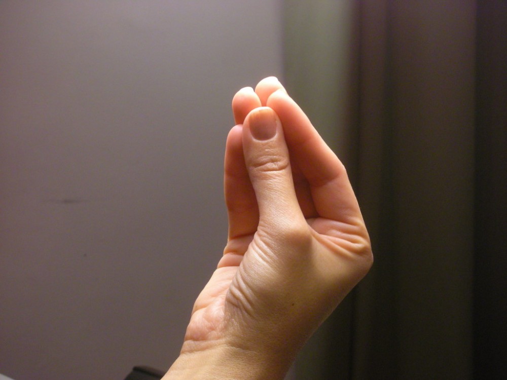「捏埋5隻手指」(Pinched Fingers)的Emoji
