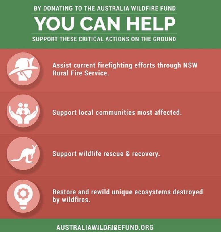 Australia Wildfire Fund長遠目標則是恢復當地的生態系統!