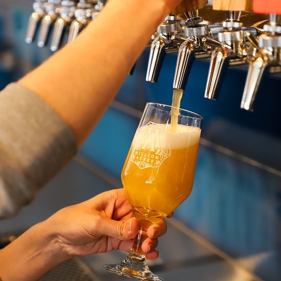 golden-pours-of-local