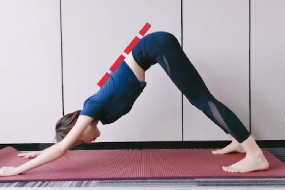 做這個動作要特別注意背部要維持一直線,另外一點是臀部上抬時,腳後跟要做到「貼地」,這樣才可以正確伸展到小腿肌。