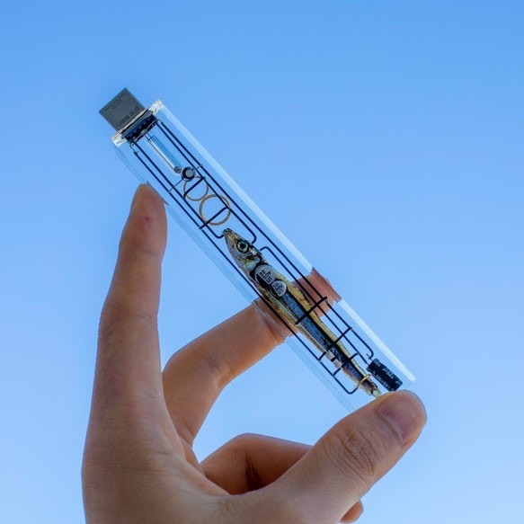 日本人Nickel(Twitter@ni28_xp)製作的「生体メモリ」