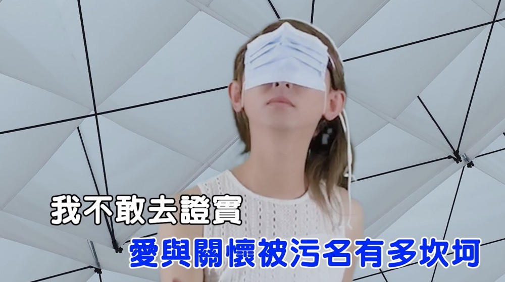 我不敢去證實(解釋)舔共兩個字 不是對自己矜持 也不是諷刺