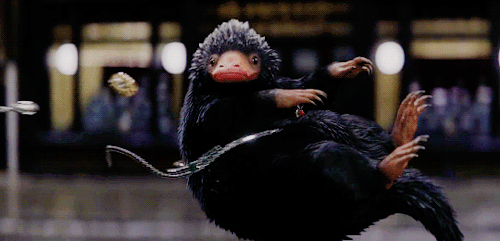 《怪獸與牠們的產地》(Fantastic Beasts and Where to Find Them)