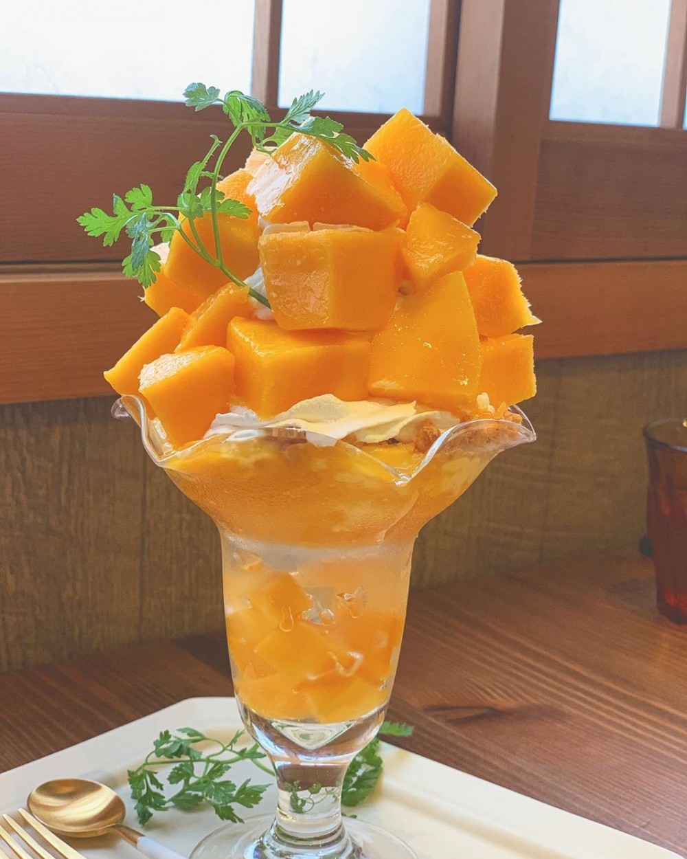 66309827_2396930343964077_1037529762110478090_n