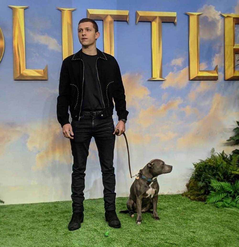 他的最後的更新停留在2月7日《怪醫杜立德》活動照片