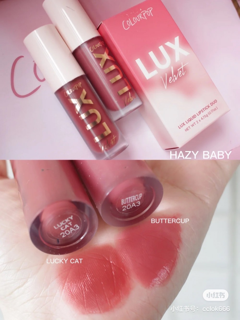 #hazy baby lucky cat肉桂豆沙和buttercup玫瑰豆沙