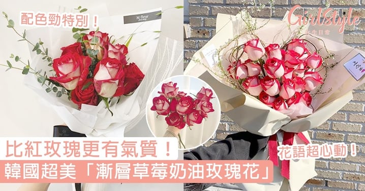 韓國超美「漸層草莓奶油玫瑰花」！比紅玫瑰更有氣質，背後花語也特別心動