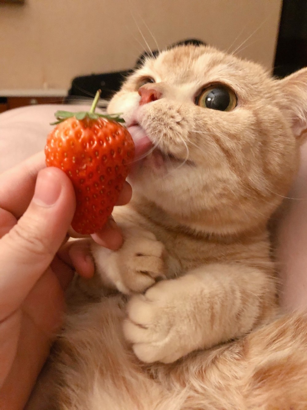 006NgMqGgy1gbznyft5ndj32c03407wj
