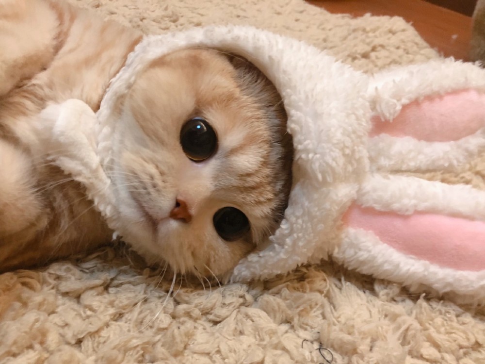 11122