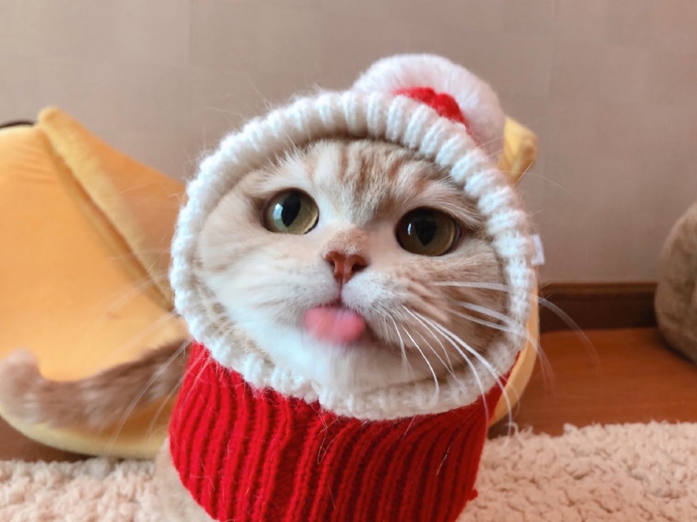 111221