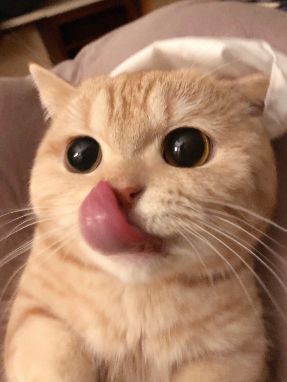 111224