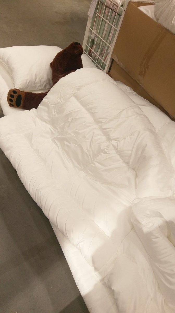 或是帶它們攤在床上蓋好小被子！