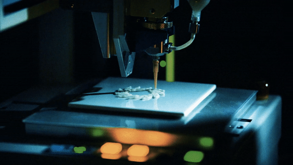 ezgif-3-435ab3ae41a8