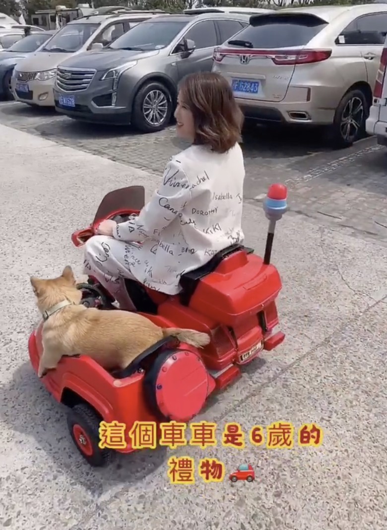 螢幕快照 2020-04-07 下午12.37.39