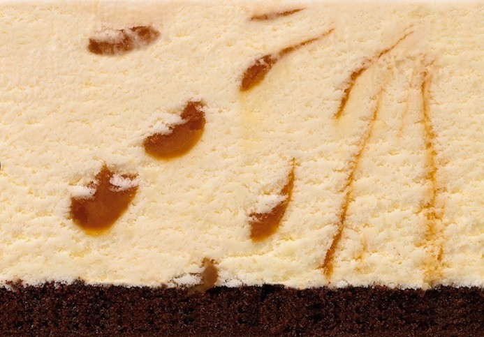 螢幕快照-2020-04-21-下午4.54.36