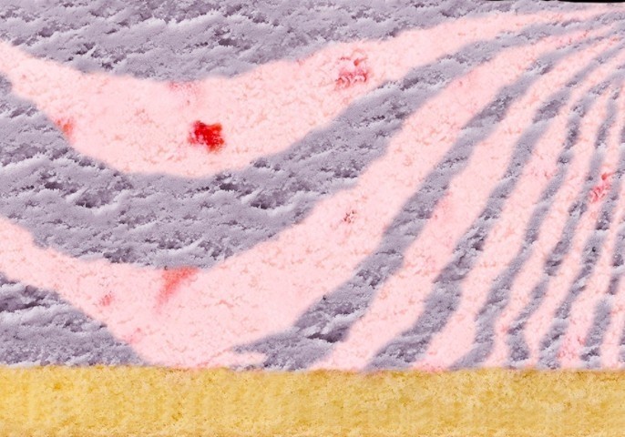 螢幕快照-2020-04-21-下午4.55.09