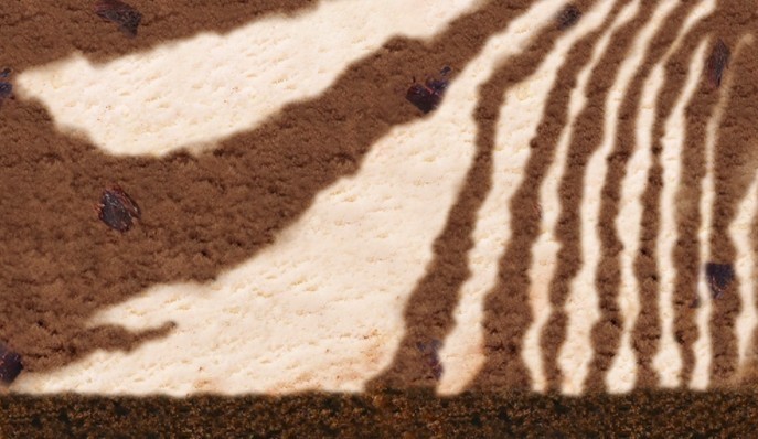 螢幕快照-2020-04-21-下午4.55.32