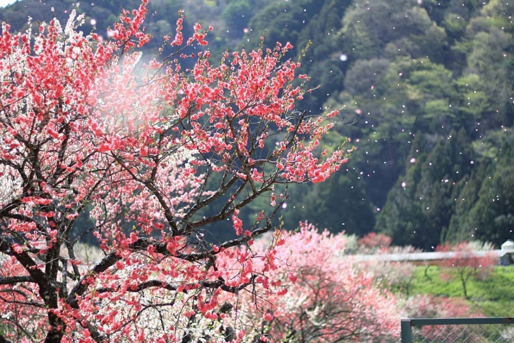 59649127_819414498441354_4200557552534864025_n