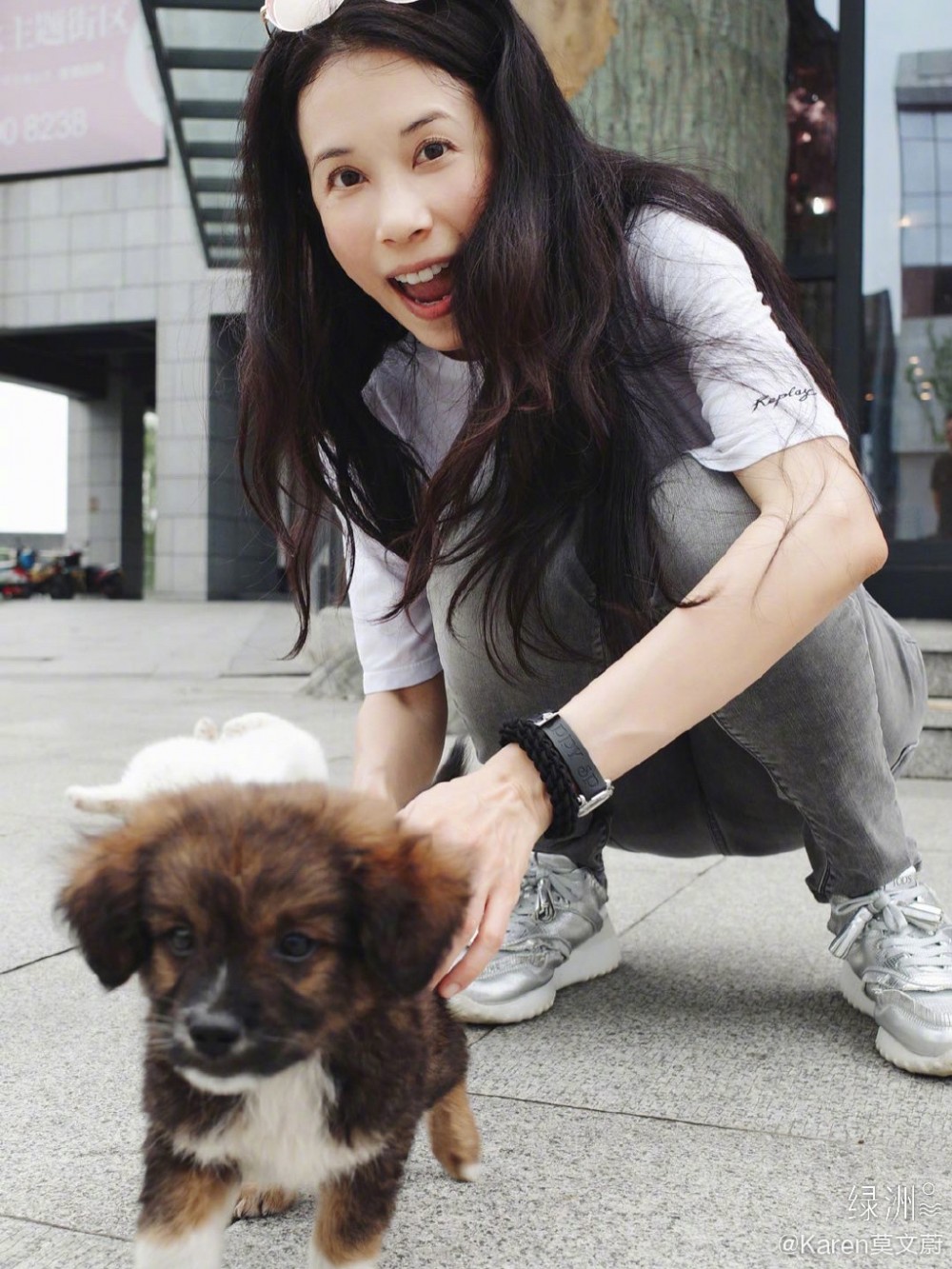 莫文蔚支持深圳立法禁食貓狗遭網民抨擊