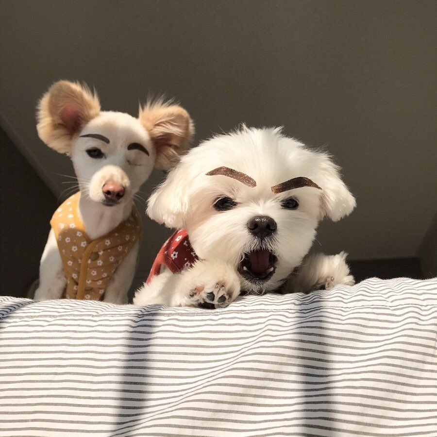 71182037_227582568208272_8295334381879399832_n