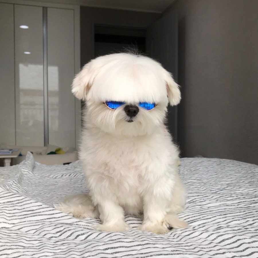 72574869_2485175398406109_3634714246885923566_n