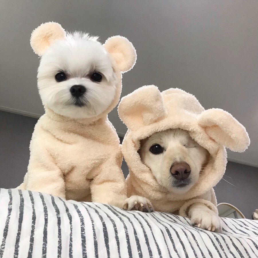 72959827_577864286293720_4974035590240023190_n