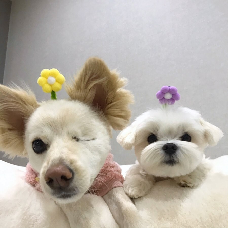 72972891_568551857213465_8730281226329823186_n