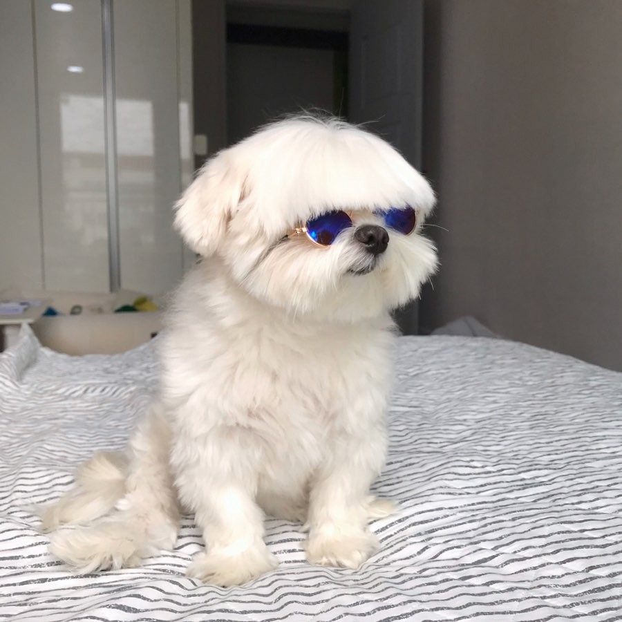 74364346_444930629562072_1276617935198418214_n