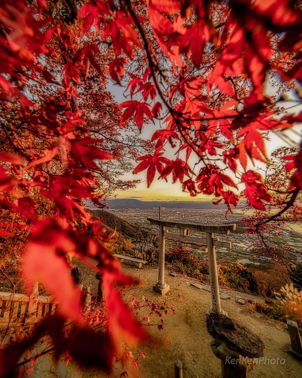 高屋神社 紅葉