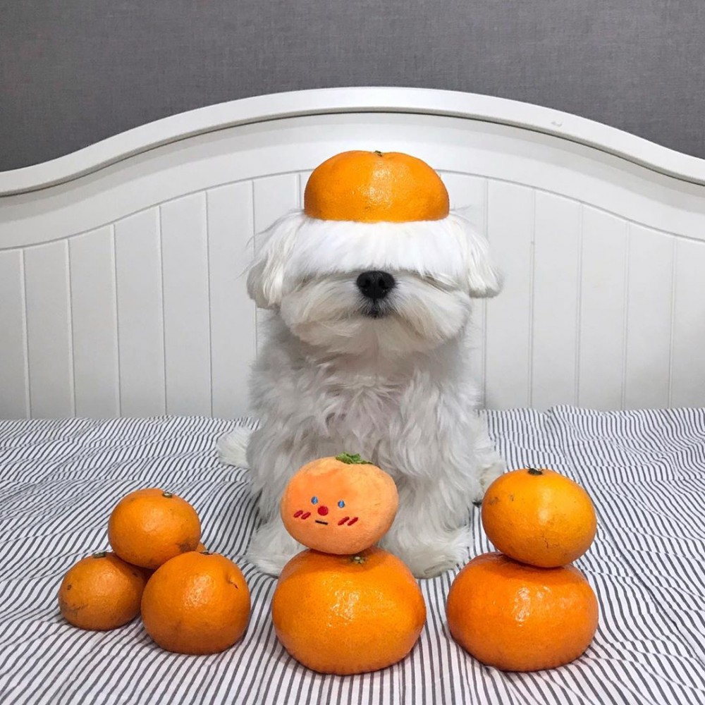 80553742_190028392181897_4512458598788216434_n