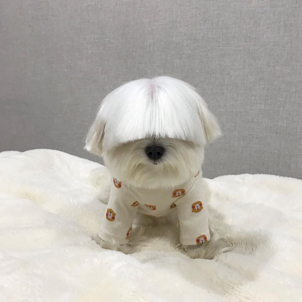 韓國齊瀏海摩天使Maruya마루랑