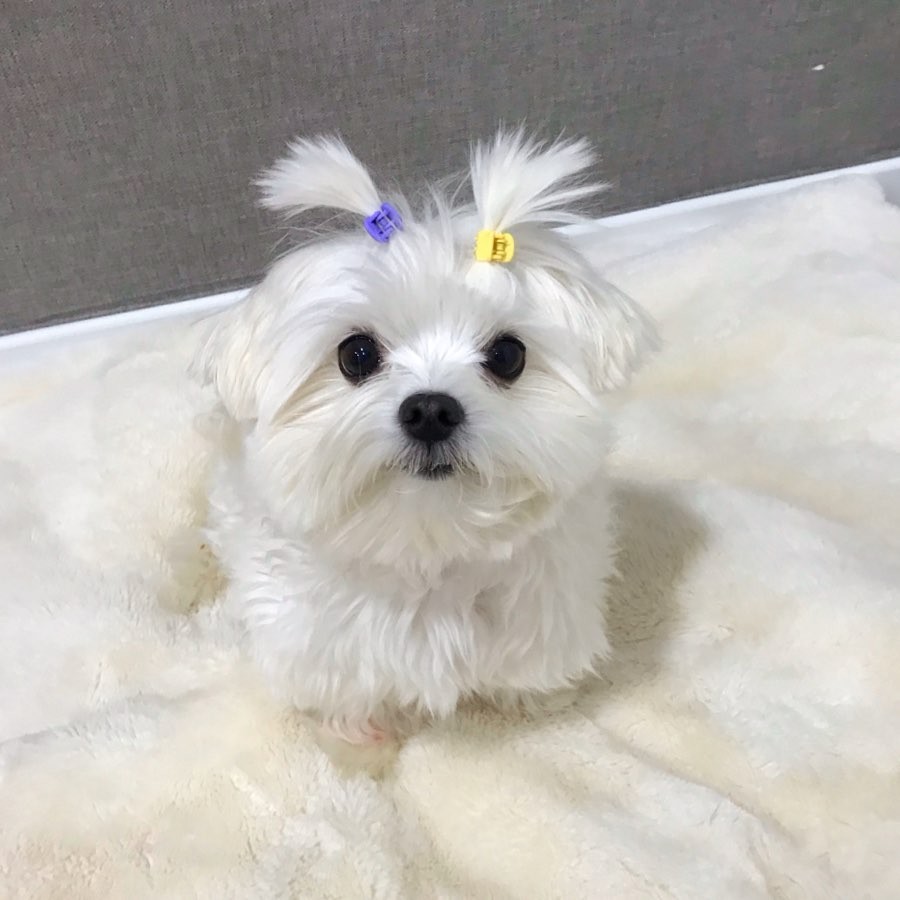 82164640_474433166579954_8793309951369371316_n