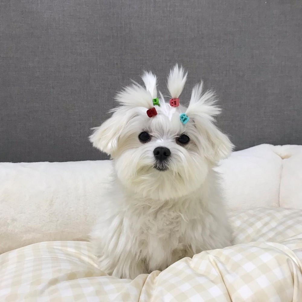 82251072_172703073955214_2199434314062134347_n