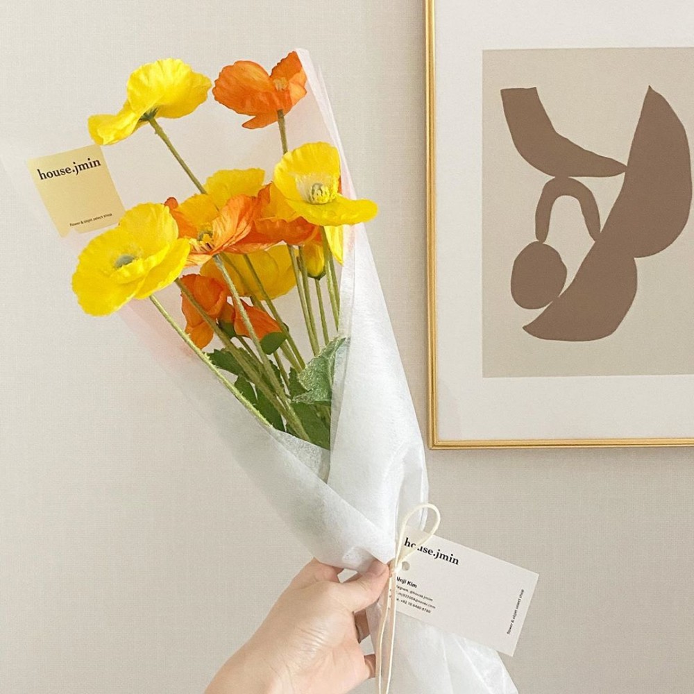 世上最美麗的花 韓國超美蜜桃色 楊貴妃花 溫柔淡雅的氣質美得移不開目光 Girlstyle 女生日常