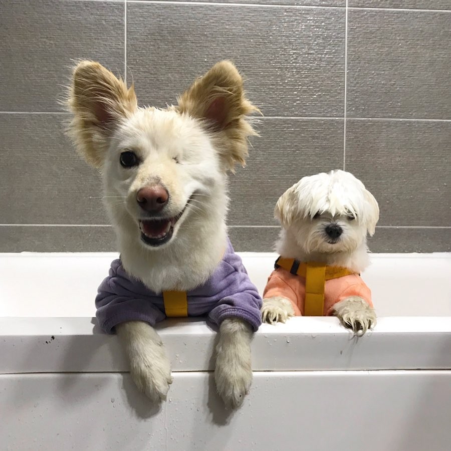 90705635_133012438265732_5496108692752396836_n