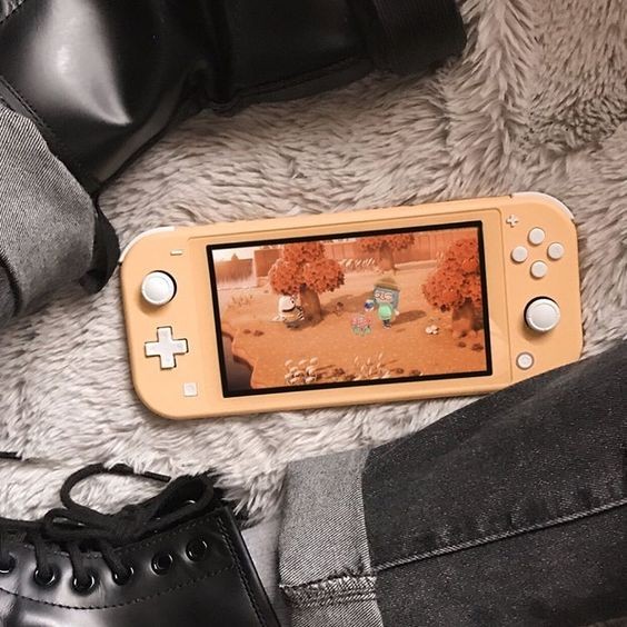 Switch