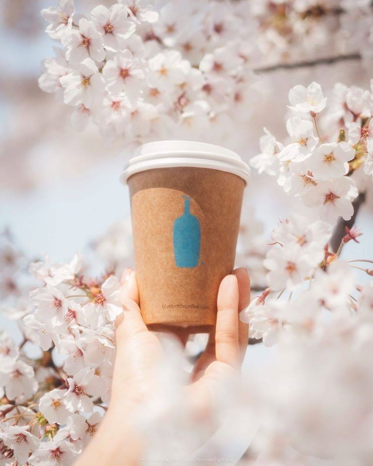 Blue Bottle Coffee香港中環店開幕地址 美國精品咖啡