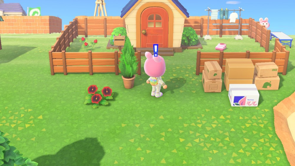 動物森友會 動物之森 時間 穿越