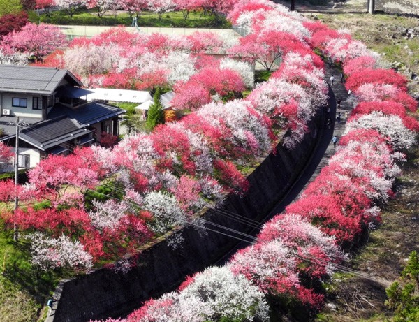 日本長野阿智村月川溫泉交通地址