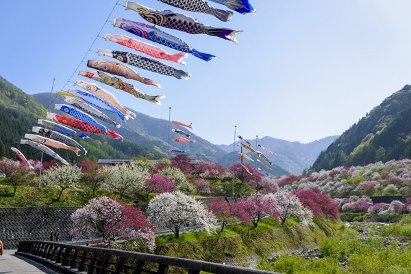 日本長野縣下伊那郡阿智村智月川溫泉交通地址