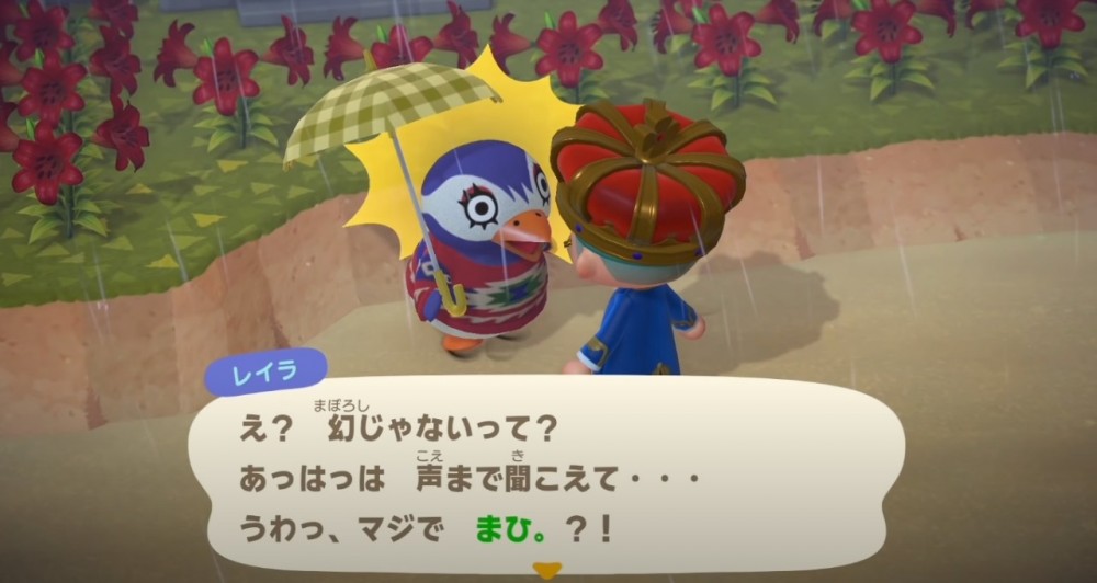 動物森友會 動物之森 時間 穿越