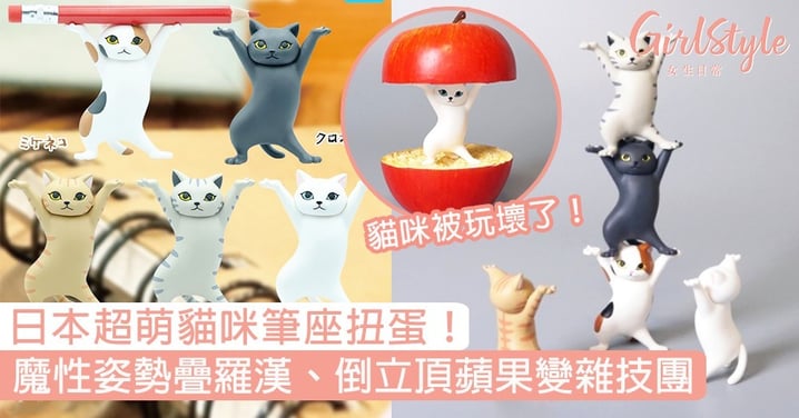 日本超萌「貓咪筆座扭蛋」！魔性姿勢疊羅漢、倒立頂蘋果，多款玩法變貓貓雜技團！
