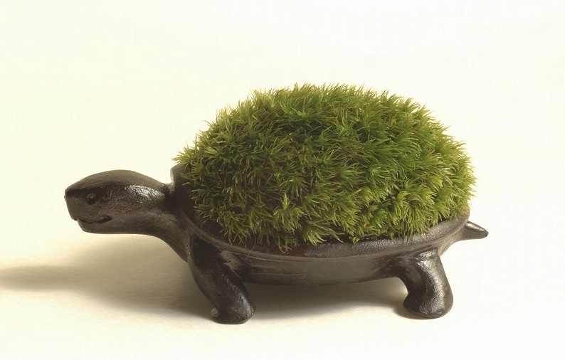 日本小刺蝟青銅盆栽