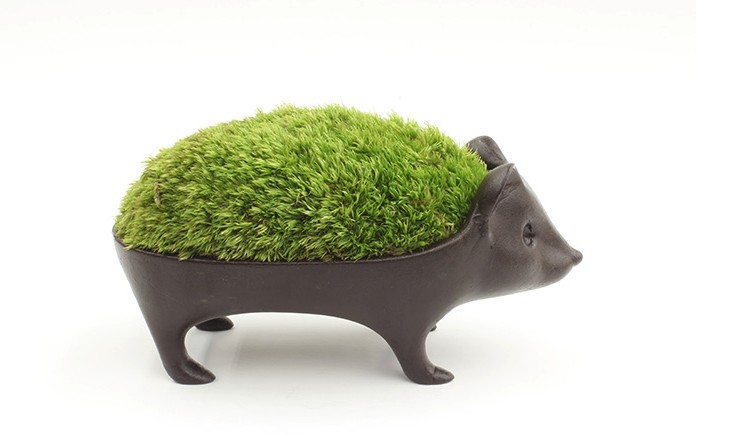 日本小刺蝟青銅盆栽