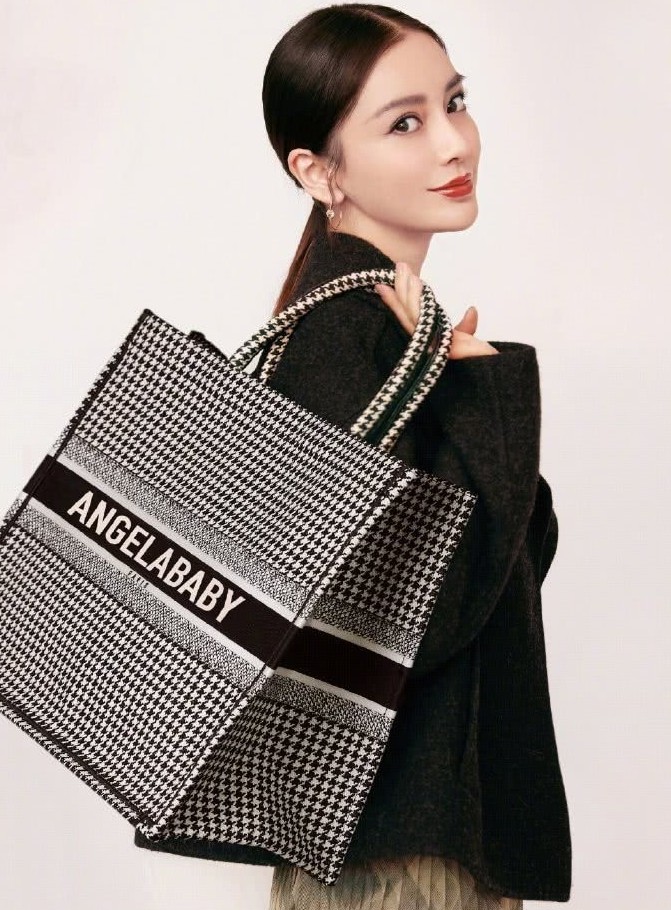 Dior Book Tote 中文刺繡