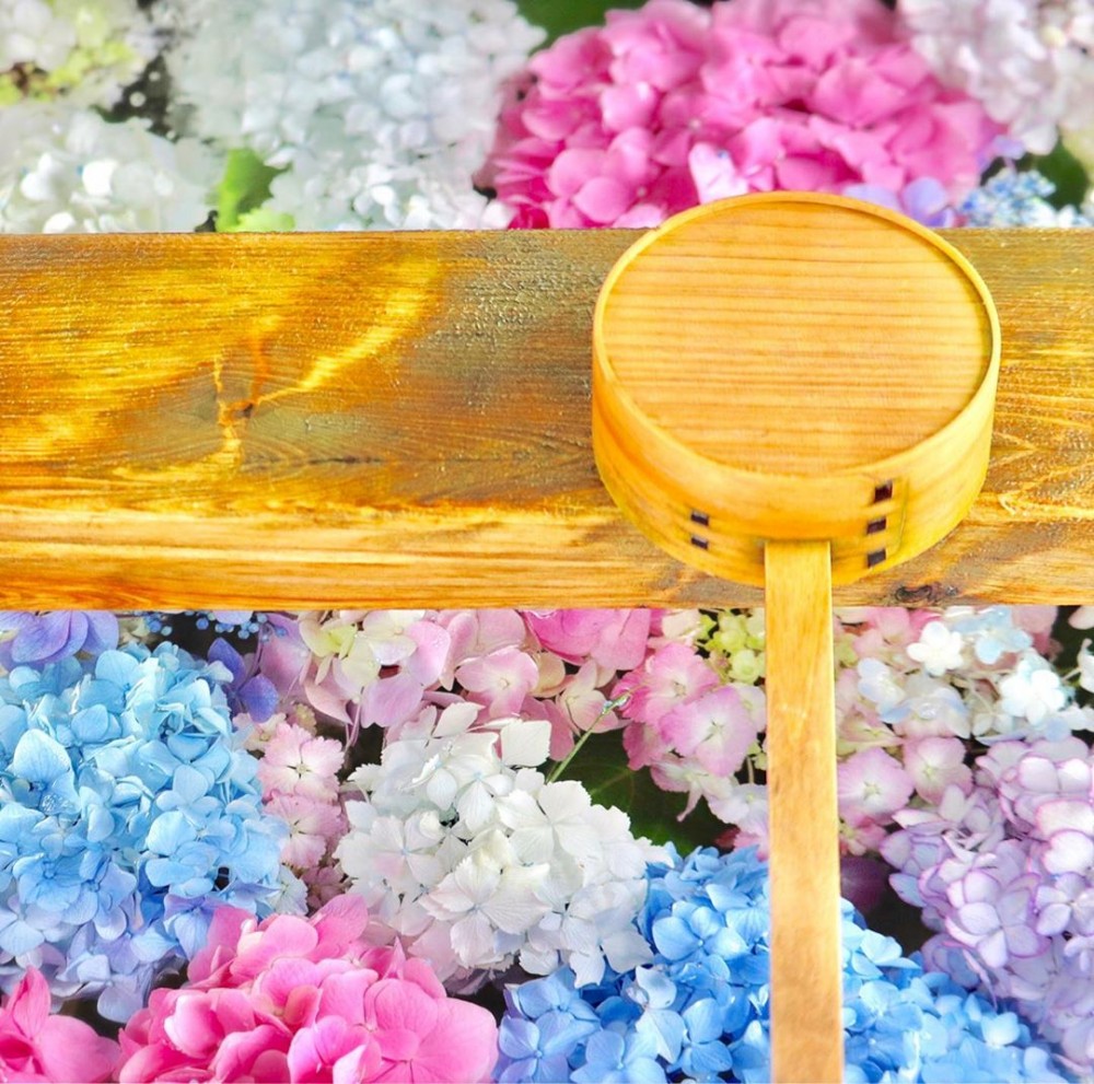 繡球花手水舍, 日本花手水舍, 日本繡球花手水舍,