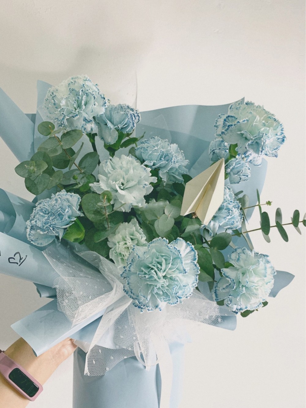 薄荷綠 藍色康乃馨花語