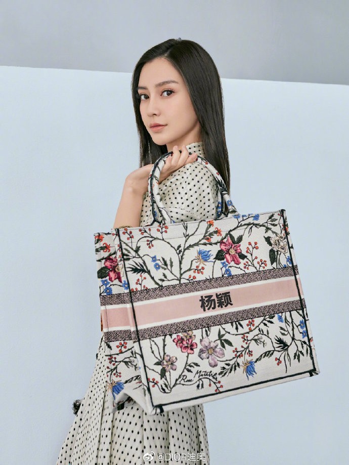 Dior Book Tote 中文刺繡